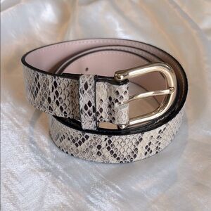 H&M Cream and Gold Belt with Elegant Design